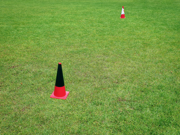 橙色塑料锥在绿色草地足球场运动训练图片下载