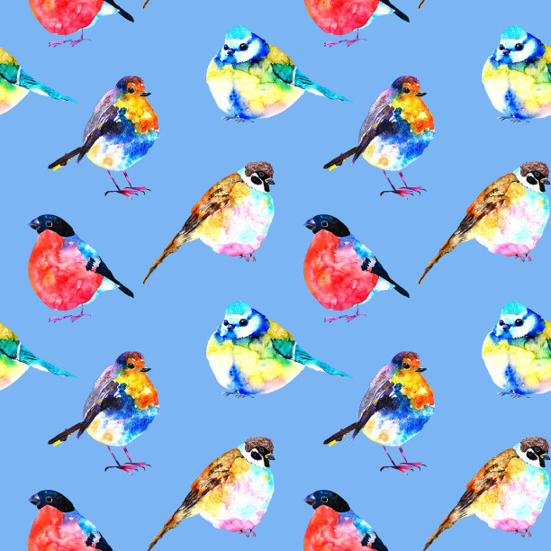无缝模式鸟类。手绘水彩插图。知更鸟，红腹灰雀，山雀在蓝色背景上图片下载