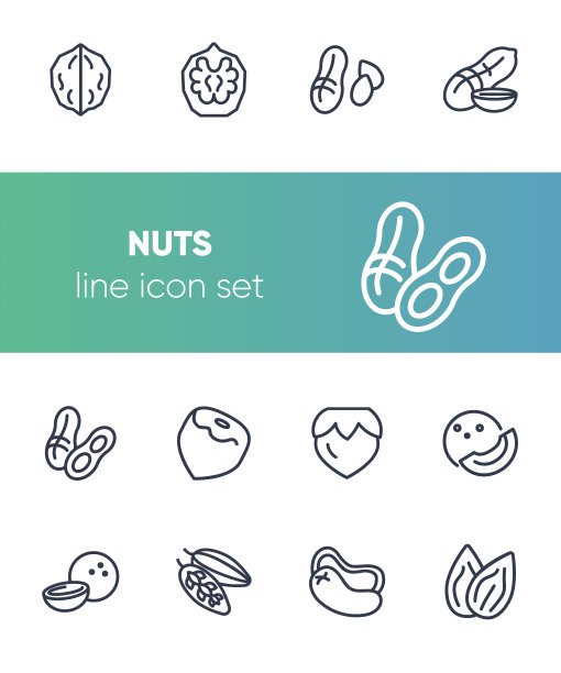 螺母线图标设置。花生，榛子，杏仁图片下载