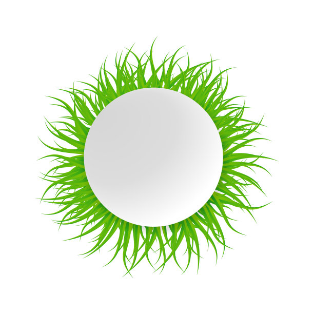 草地的背景。设计的模型。图片下载