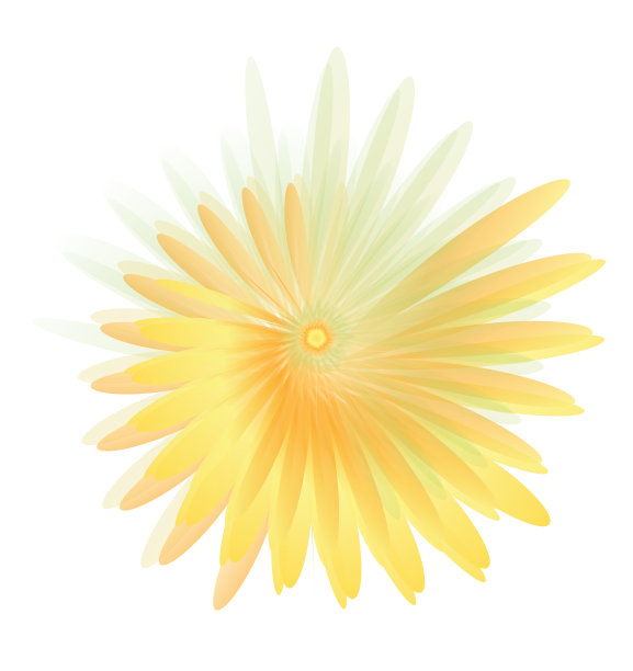 花郁金香图片下载