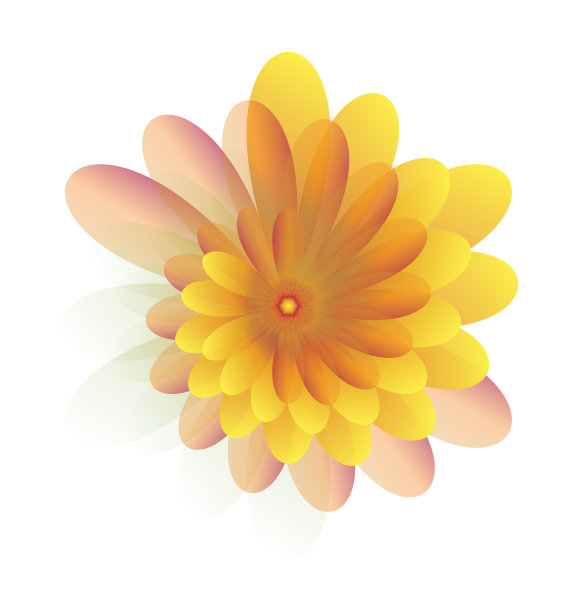 花黄色图片下载