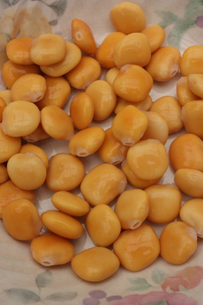 作为开胃酒的腌制食品图片下载