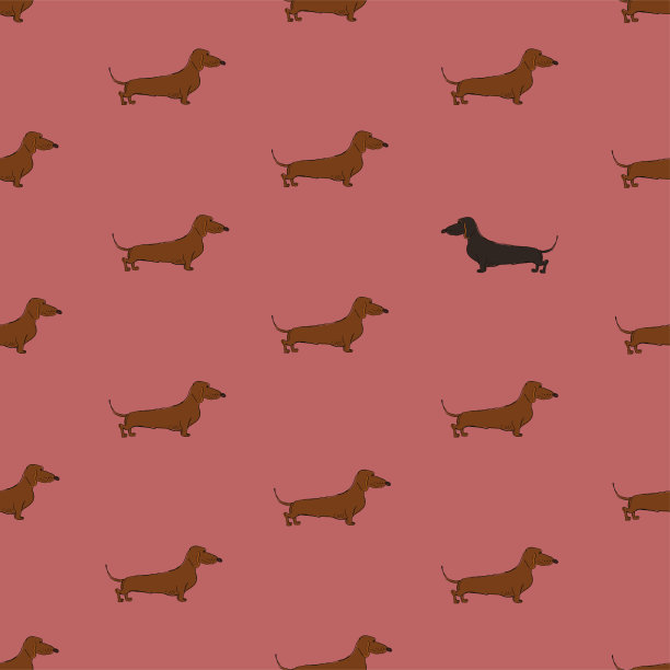 无缝模式与腊肠狗。图片下载
