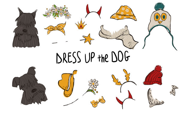 雪纳瑞犬情侣肖像与配饰图片下载