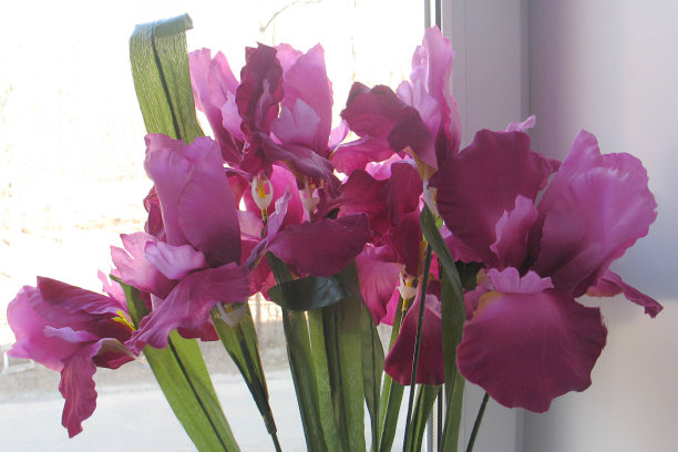 花瓶里的一束人造紫色鸢尾花图片下载