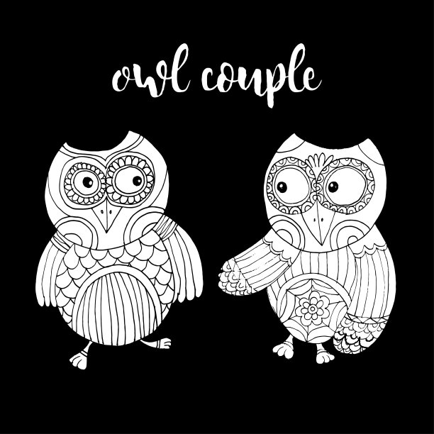猫头鹰向量着色书。孤立的插图在白色背景猫头鹰插图涂鸦向量。图片下载