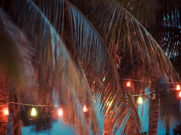 露台灯和棕榈树在海滩，加勒比岛Isla Mujeres，墨西哥图片下载