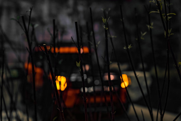 模糊的背景图片与树枝的灌木丛和汽车与前灯骑在后面图片下载