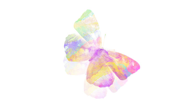 水彩蝴蝶。用于设计的热带昆虫。在白色背景上隔离图片下载