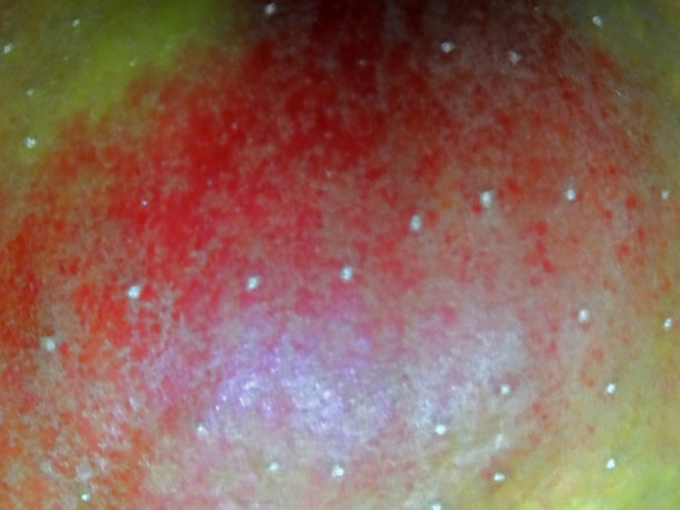 一个苹果的纹理特写图片下载