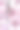 花梅花盛开在武汉东湖。重点是花。图片下载