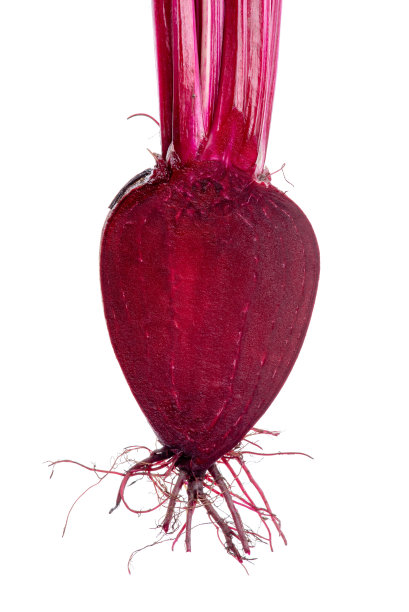 甜菜孤立于白色，健康的生活理念图片下载