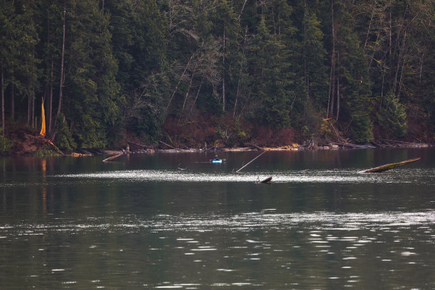 在海沃德湖上划皮艇图片下载