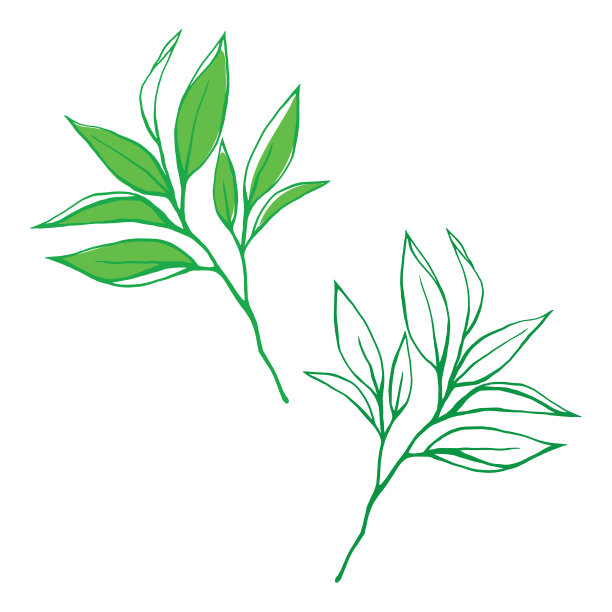 茶叶载体图片下载