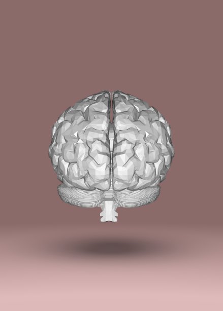 人脑解剖模型3D渲染图片下载