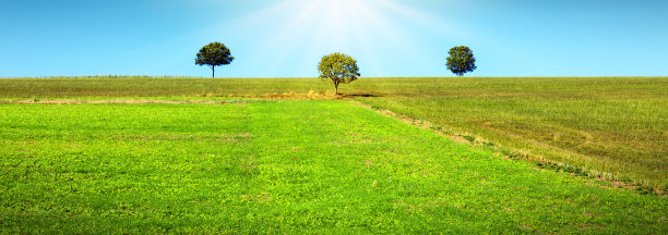 阳光明媚的风景，树木和蓝天。图片下载