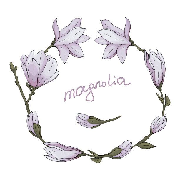 手绘木兰花与枝叶和字母矢量插图图片下载