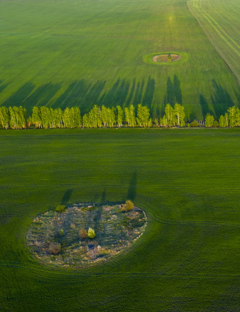 春天的田野，从四轴飞行器在日落降落时留下的长长的阴影图片下载
