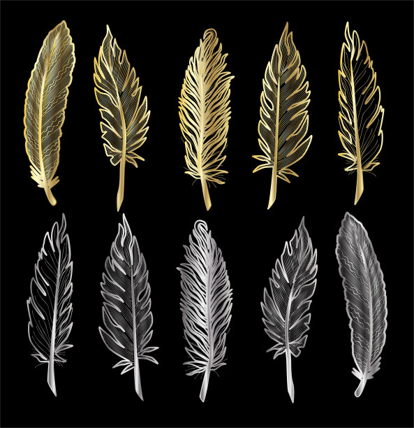 设置颜色的羽毛。图片下载