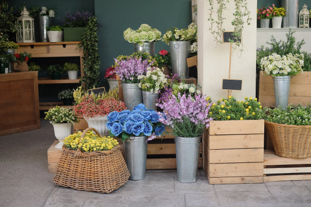 花店摄影位置图片下载