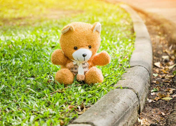 泰迪棕熊坐在绿色的草地上图片下载