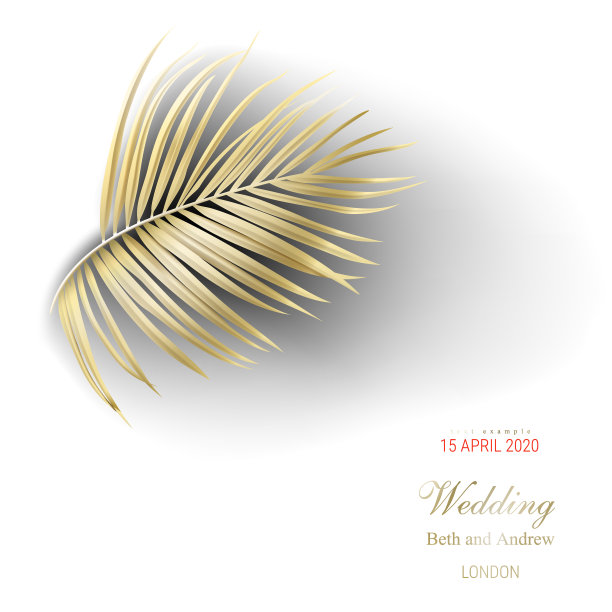 白色背景上的热带金黄棕榈叶图片下载