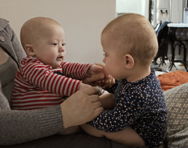 双胞胎婴儿在一圈里一起玩图片下载