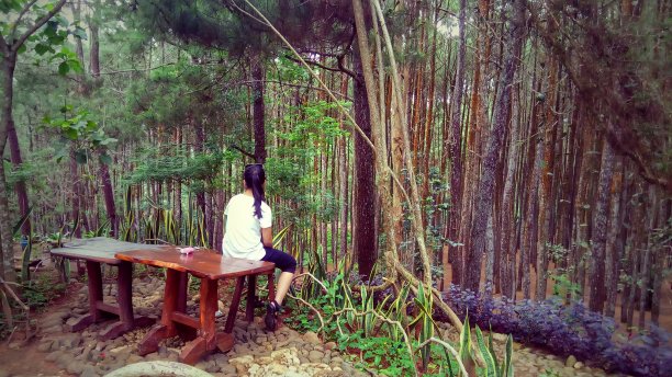 孤独和和平图片下载