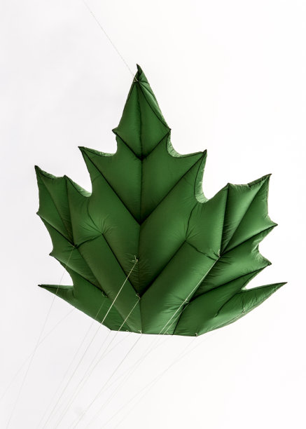 枫叶彗星图片下载