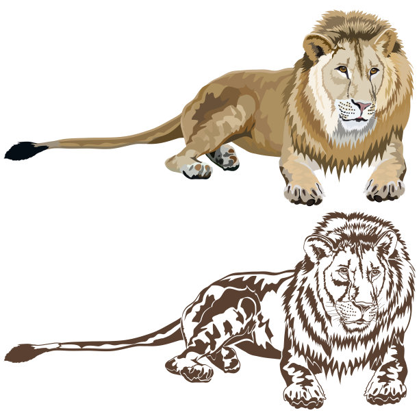 狮子的图片和剪影图片下载