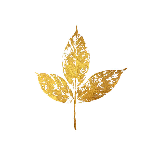 金色的树叶图片下载