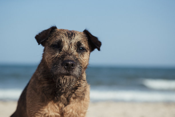 生活是一个海滩图片下载