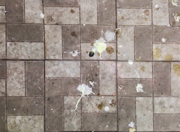 人行道上鸟粪，瓷砖，背景纹理图片下载