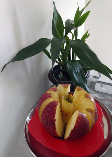 苹果和幸运竹图片下载