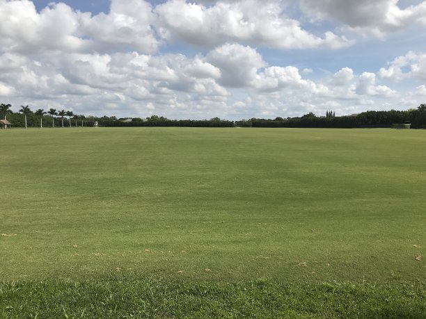 用于跳跃、盛装舞步和马球的马厩图片下载