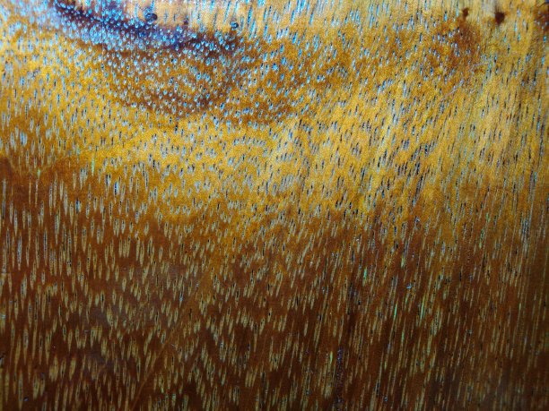 硬木纹理作背景图片下载