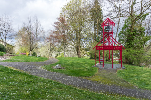 春天开花的树2图片下载