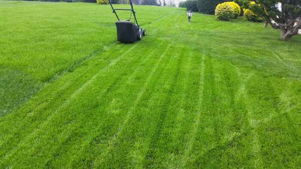 草坪搬运工在前院或后院修剪草坪图片下载