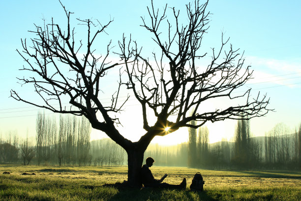 读书在大自然中，心灵放松与平和的人类模式图片下载