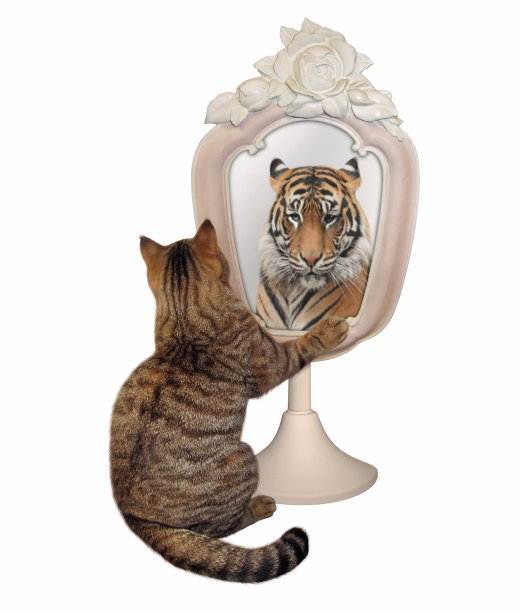 凯特凝视着自己的倒影图片下载