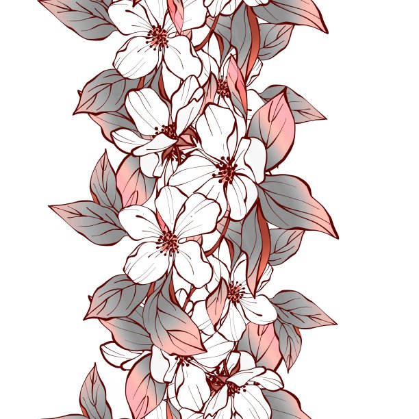 有白色花的无缝花边图片下载