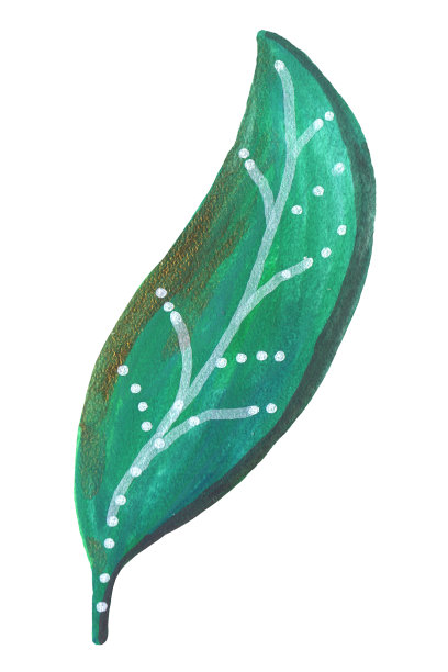 装饰绿色水粉树叶，在白色的背景上图片下载