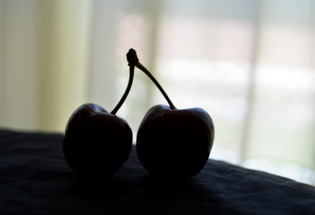 樱桃轮廓图片下载