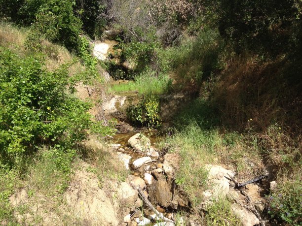 山坡上的一条天然小溪图片下载