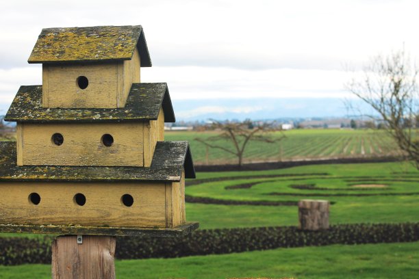 古色古香的多层鸟舍，以风景景观为背景图片下载