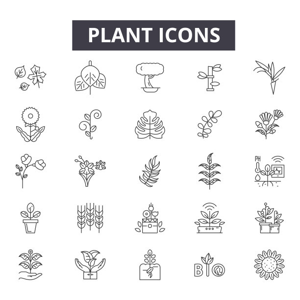 植物线性图标、符号、矢量集、线性概念、轮廓图图片下载