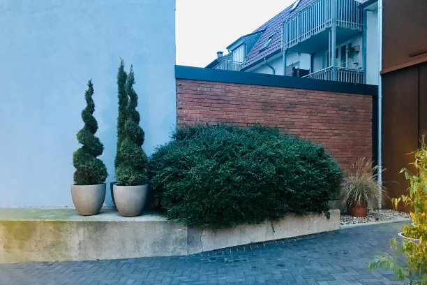 美丽的花园图片下载