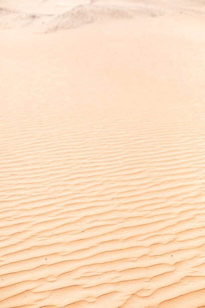 沙漠沙子纹理图片下载