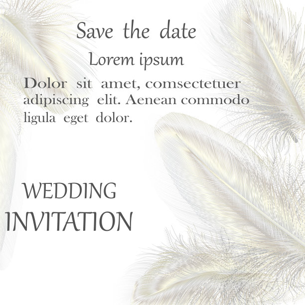 金色羽毛的婚礼请柬。图片下载